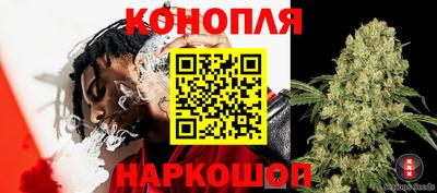 mdpv Партизанск