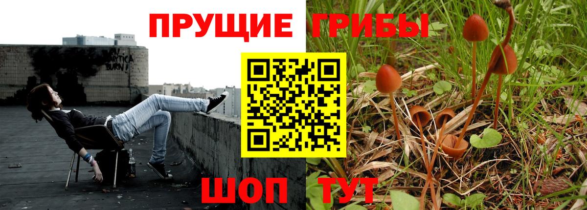 Галлюциногенные грибы мухоморы Новокуйбышевск