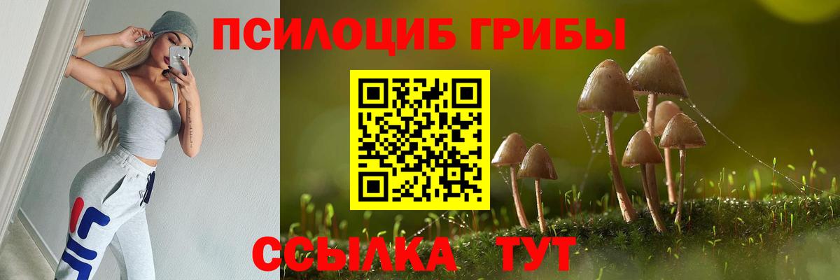 Псилоцибиновые грибы мухоморы  Псилоцибиновые грибы мицелий  Вход с VPN  Новокуйбышевск 